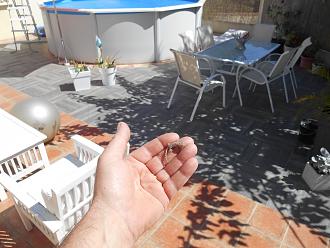 Cliquez sur l'image pour la voir en taille relle 

Nom : 		DSCN1594.JPG 
Affichages :	527 
Taille :		2,78 Mo 
ID : 			269057