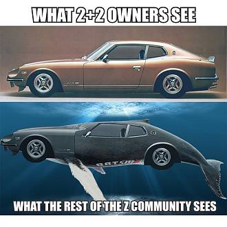 Cliquez sur l'image pour la voir en taille relle 

Nom : 		260z baleine .jpg 
Affichages :	351 
Taille :		112,7 Ko 
ID : 			279058
