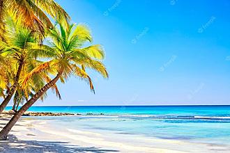 Cliquez sur l'image pour la voir en taille réelle   Nom : 		vacances-ete-concept-plage-tropicale-plage-sable-palmiers-mer-turquoise-ile-vacances_136401-3737.jpg  Affichages :	0  Taille :		169,4 Ko  ID : 			311472