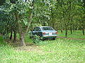 S110 030.JPG